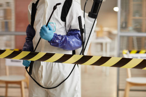 Professional Sewage Cleanup technician working in Mosinee, WI